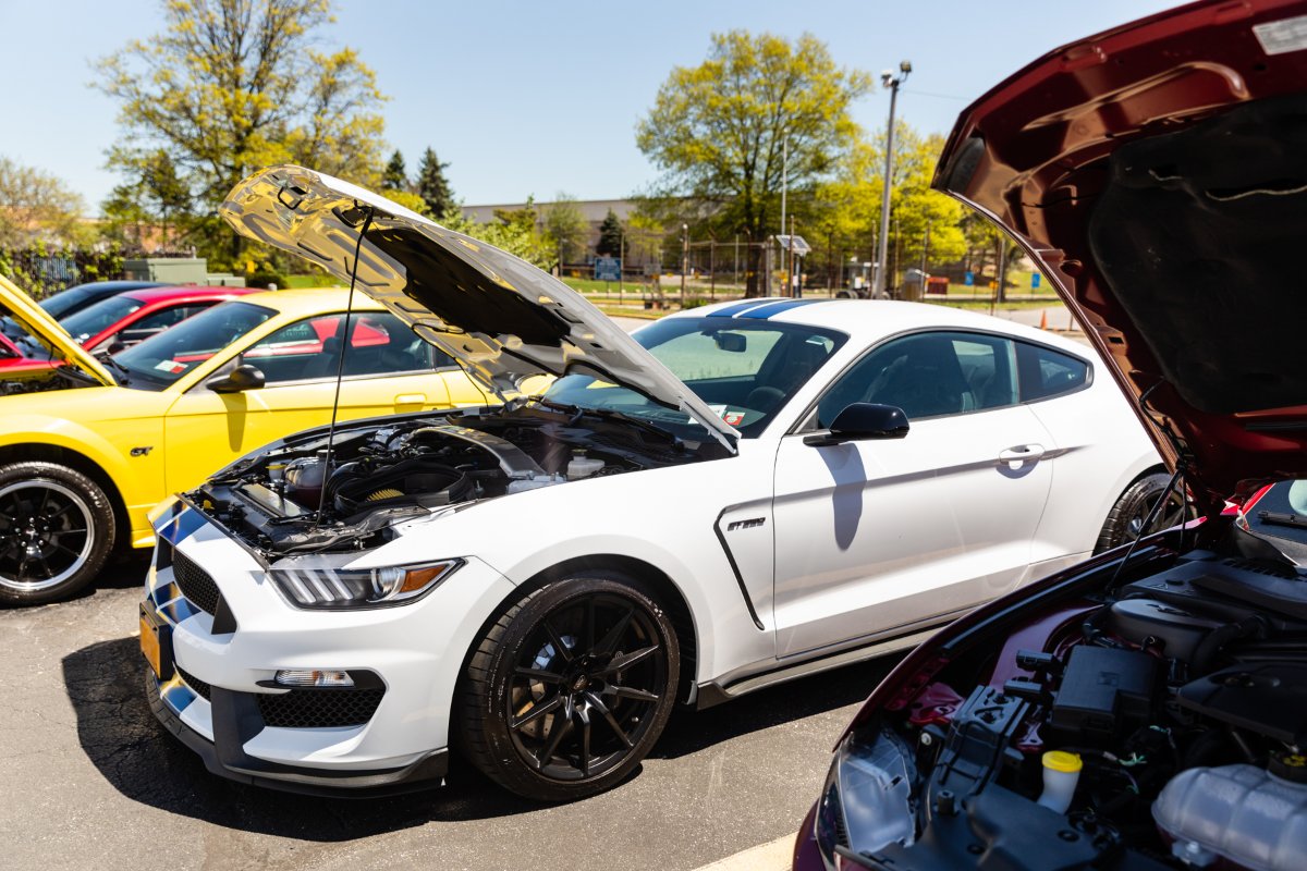 Color, make, model -- What does your dream car look like?