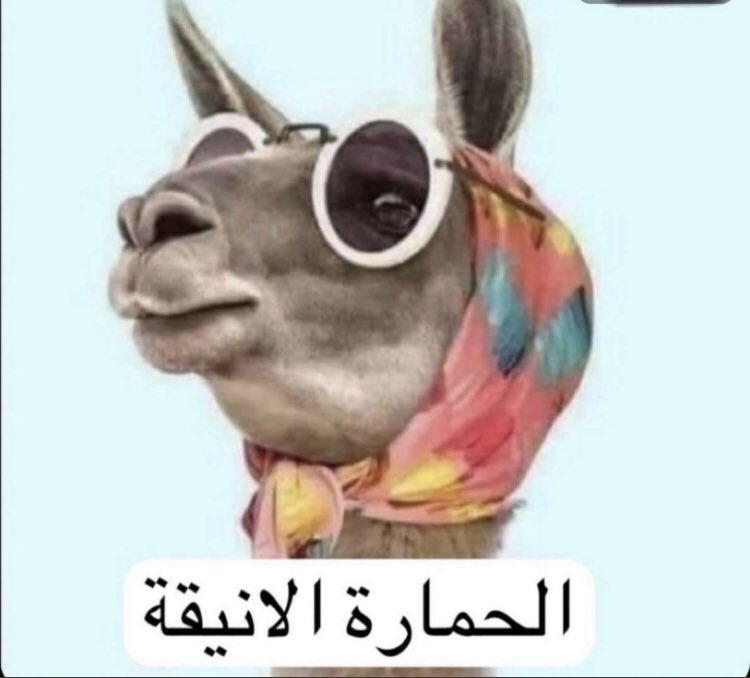 شهد. tweet media