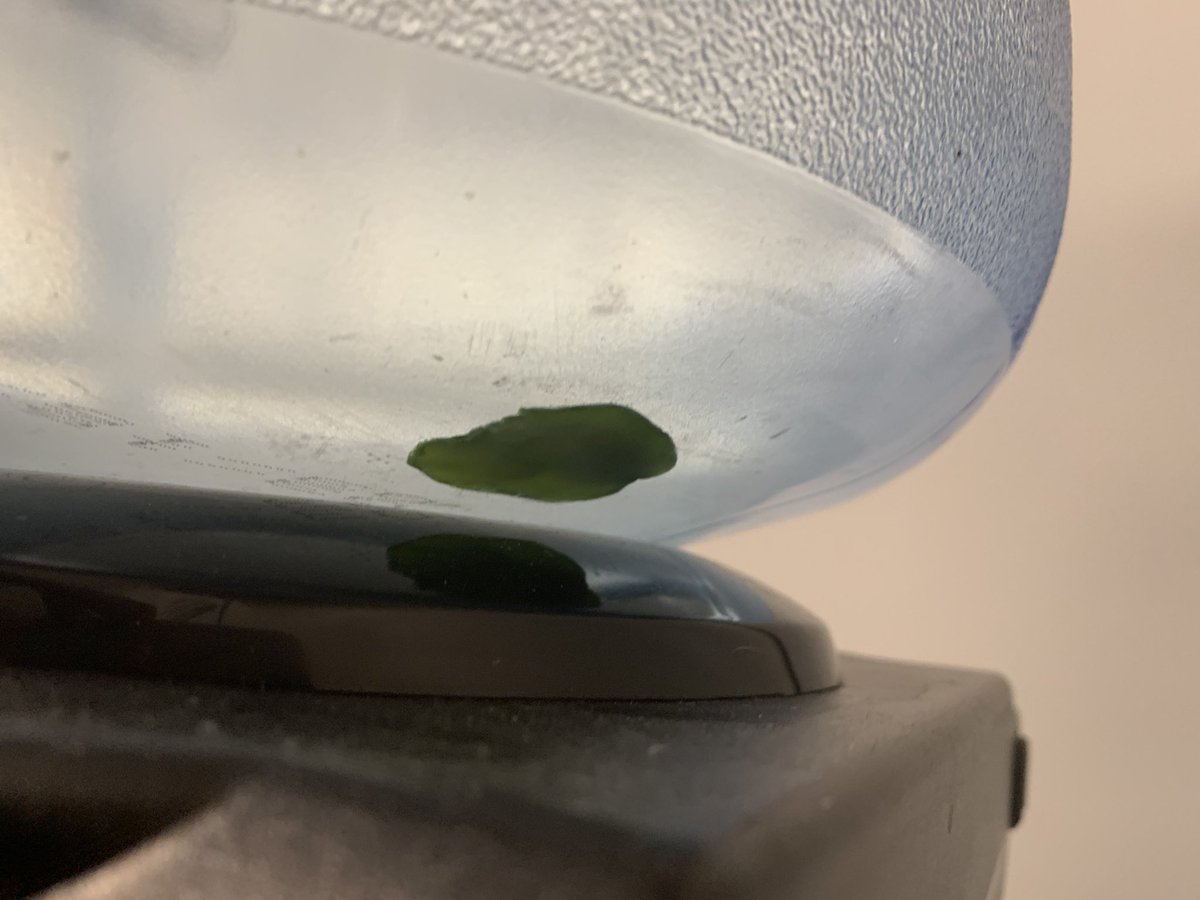 kippiedouglas's tweet photo. @Distillata I found a cucumber in this jug!  could be a pickle... oh no! https://t.co/Bf1htYuYJG