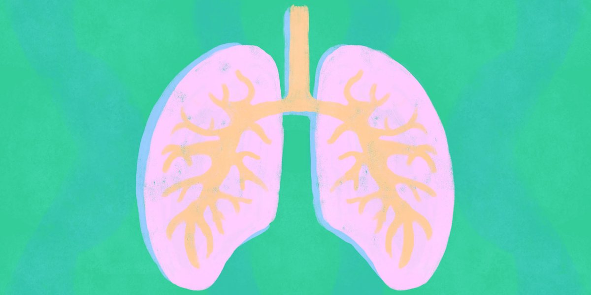 Targeted therapies and better outcomes for small cell lung cancer? @theNCI study on actionable germline mutations finds a link. #sclc — cancerletter.com/articles/20210…