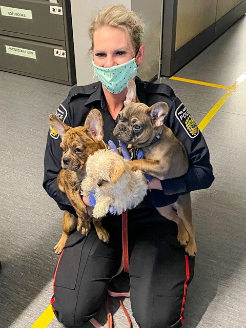 Peel Regional Police tweet media