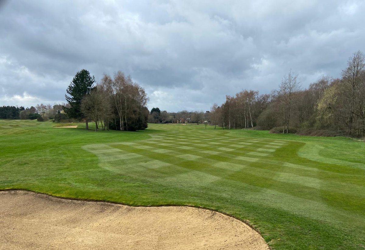 SMGCgreens's tweet photo. So much going on @sandmartinsgc
More bunker project progress, machine demos, turfing and much much more.
All in on Sunday for the final push before we welcome back the members on Monday. We can't wait. #greenkeeping #GolfIsCalling #golfreturns https://t.co/xyzPFJUXXY