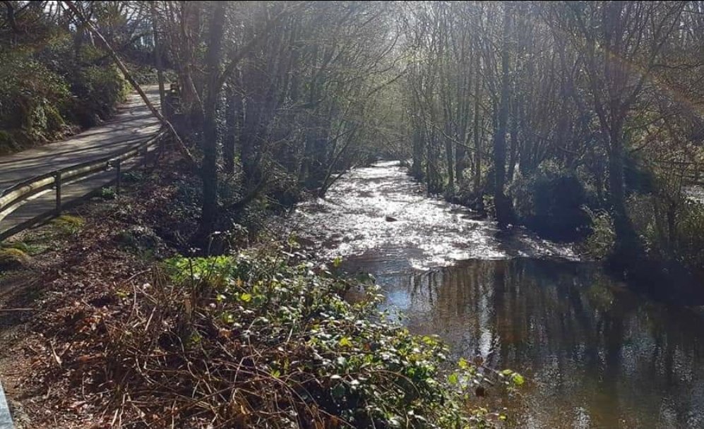 Glanmire noticeboard tweet media