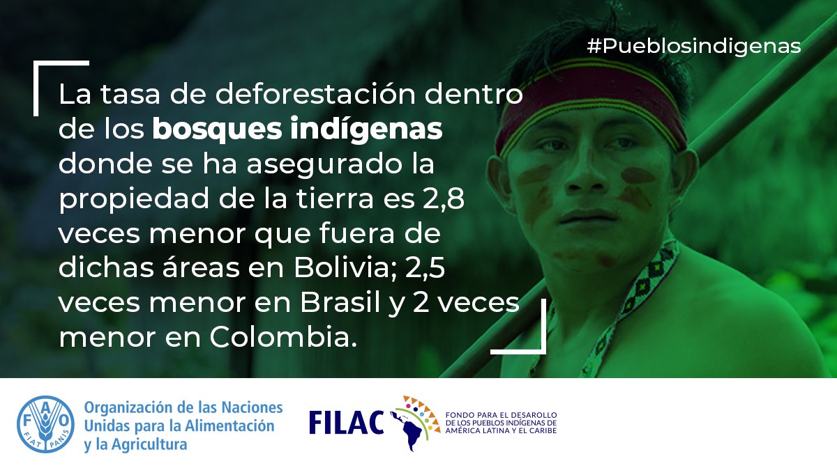 Informe <a href="/FAOAmericas/">FAO Américas</a> - <a href="/filac_/">FILAC</a>
La pérdida de bosques gestionados por los #PueblosIndígenas en
la Amazonía podría conducir a un punto de inflexión climático
#GobernanzadeBosques
Ingresa️ 👉 bit.ly/IndigenasyGobe…