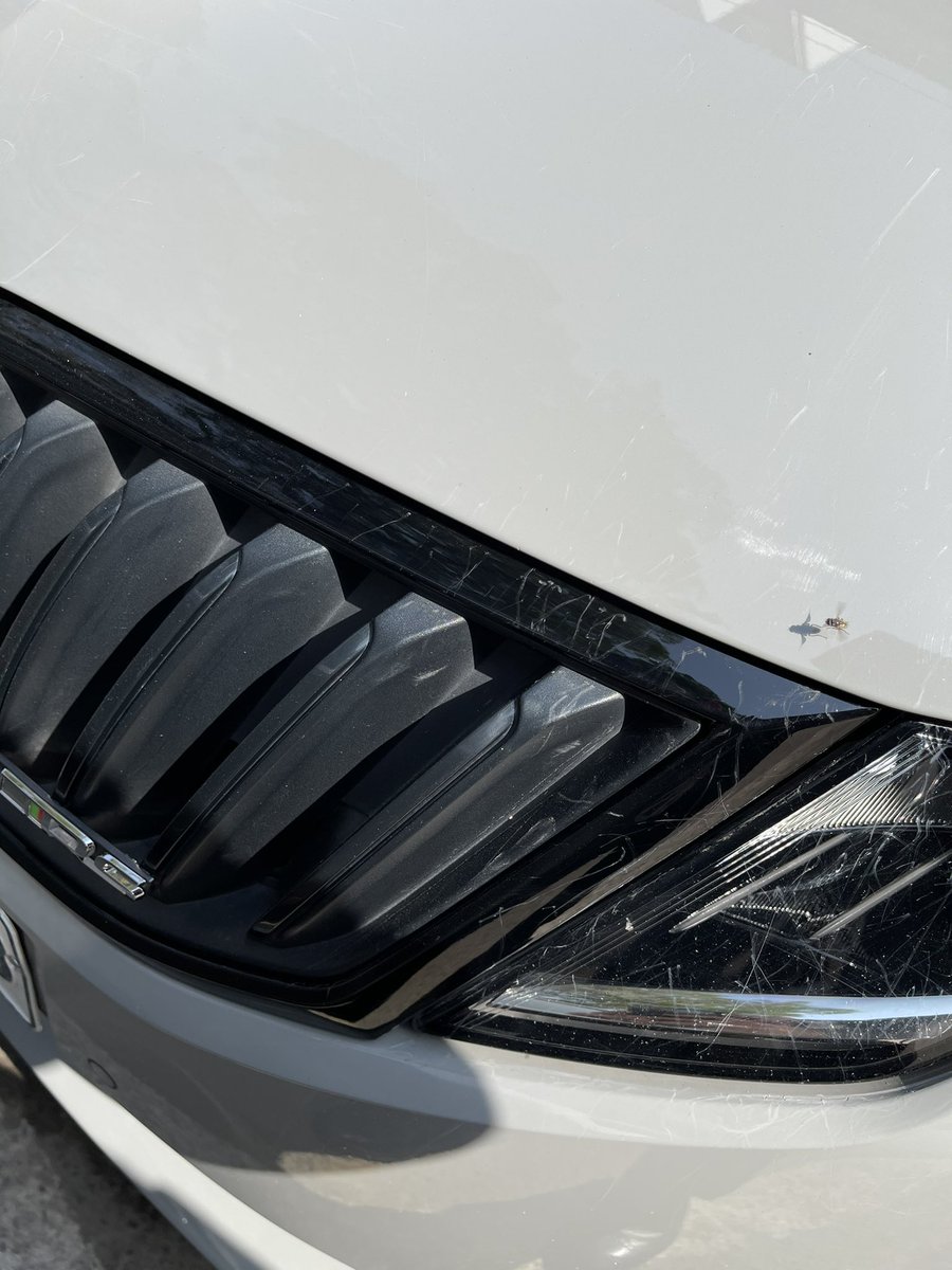 akhyil's tweet photo. @SkodaIndia @JaiAutoskoda @Zac_Hollis_  @SKODAUK @skodaautonews Skoda Service centre has destroyed my vRS230. Went for a paint job after dogs attacked my car. They damaged my bonnet. Painted parts that did not require paint job. Spoilt factory paint job. Here is my story(1/10) https://t.co/RB5rtWCyec