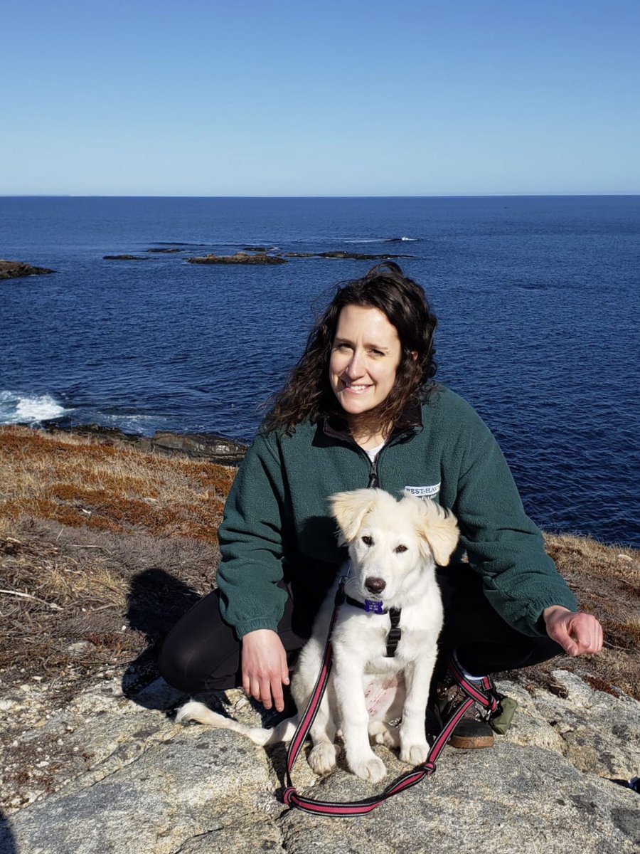 kimprobable42's tweet image. Dr of numbers, not to be confused with doctoring numbers. This week I successfully defended my PhD!! 🦭🐠📉 Huge shoutout to @JoannaMFlemming Chris Field @FisheriesRobert and the entire @OceanTracking crew - couldn’t have done it without you!!! #finallyasealemoji