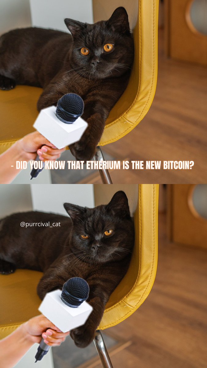 purrcival_cat's tweet photo. Oh really? #btc #bitcoin #Crypto  @maxkeiser @MMCrypto https://t.co/3pR5ZeHPEW