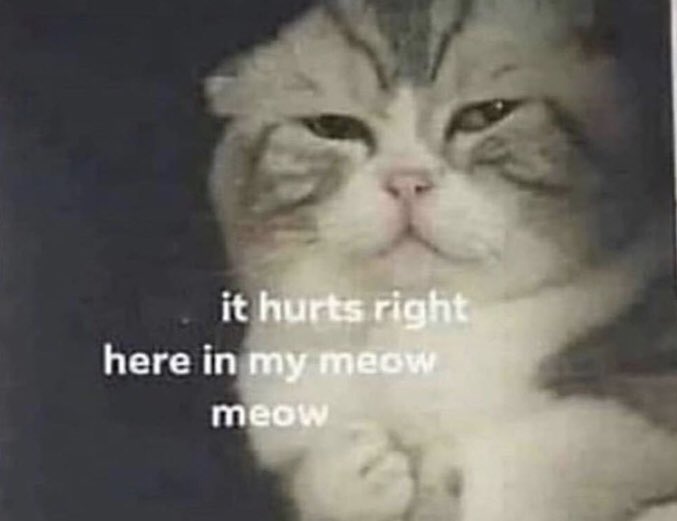 finished relistening to campaign 1 of <a href="/NADDPod/">Not Another D&D Podcast</a> and completely forgot about the song emily wrote and everyone performed at the end of ep 100 and now i’m weeping