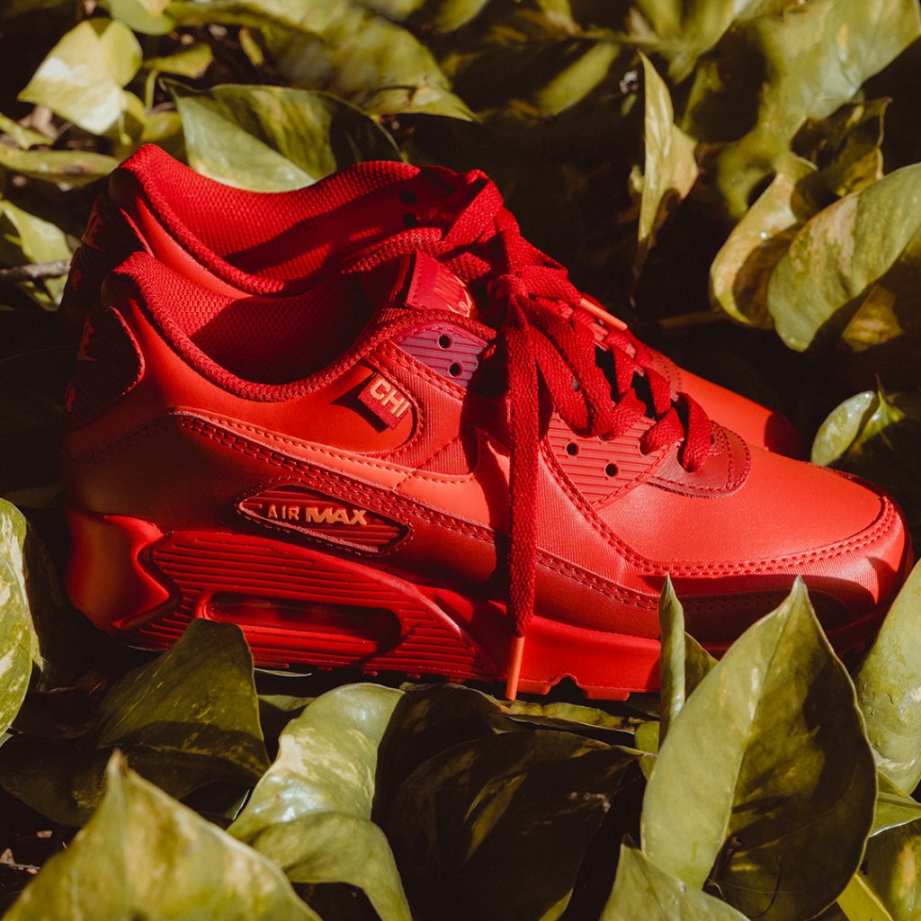 footlocker nike airmax 90
