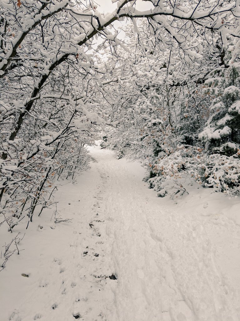 Robert Christensen tweet media