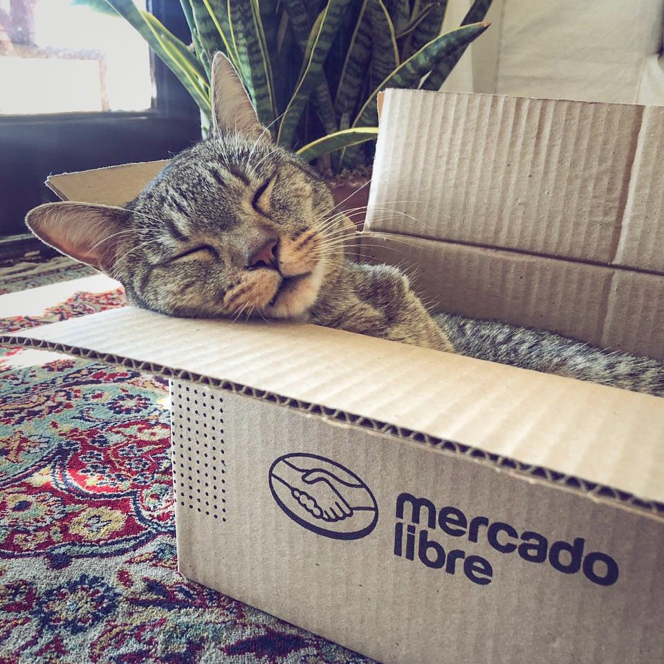 3mcar's tweet photo. @Mercadolibre hola desde ya mis disculpas pro las molestias, pero para nuestras oficinas les solicitariamos tengan a bien si es posible enviar imagenes de alta calidad para decorar, nuestras 3 tiendas oficiales las puede identificar como CA6541297 serian las imagenes que dejo https://t.co/Akw1ezc6LD