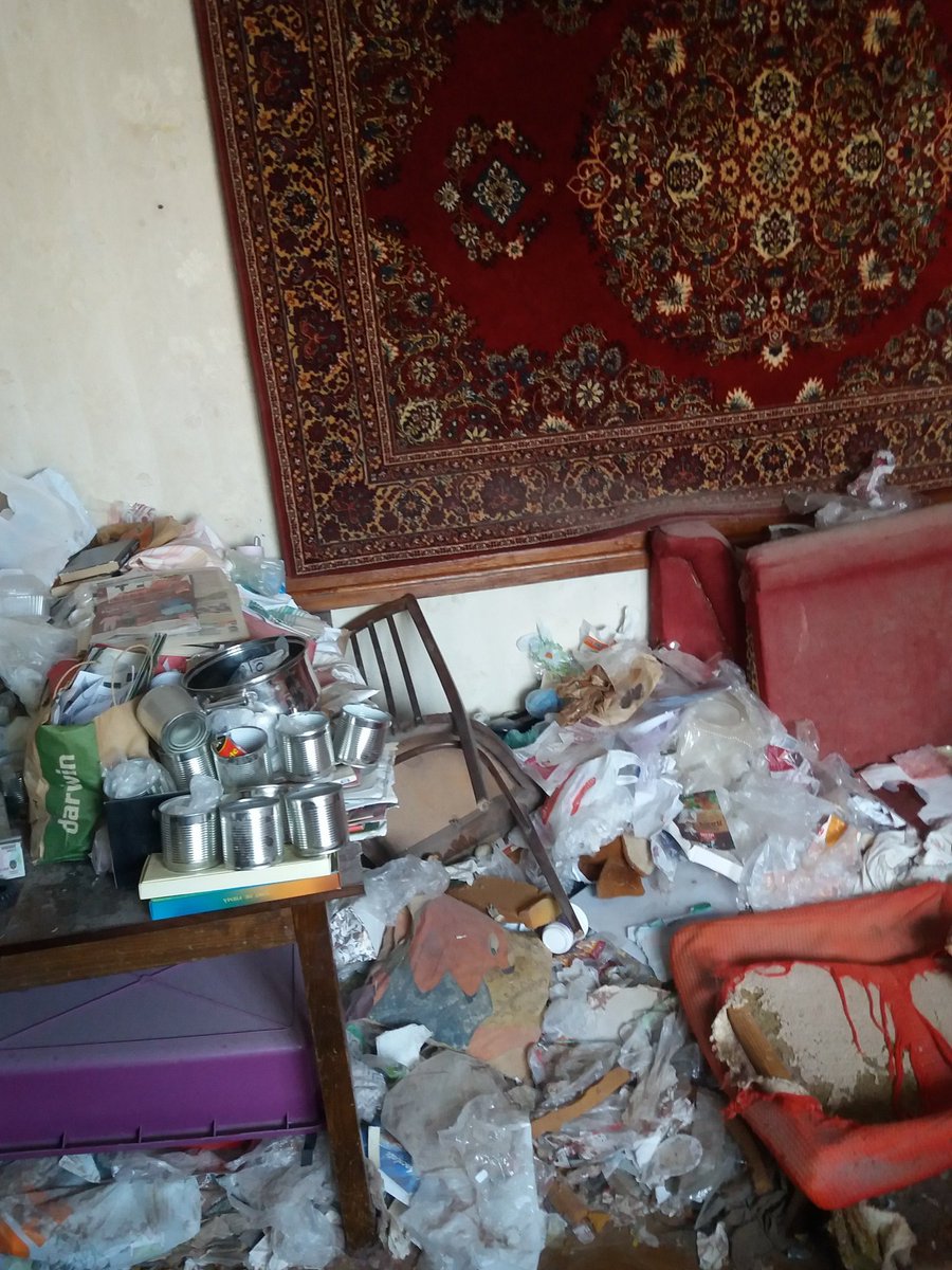 Мне сейчас морально хуёво, так что вот вам тред

Tw: муссор
Как я жила 16 лет подряд, и как живу сейчас

Привет! Это моя комната. Моя на 3 людей -- я, мама, брат