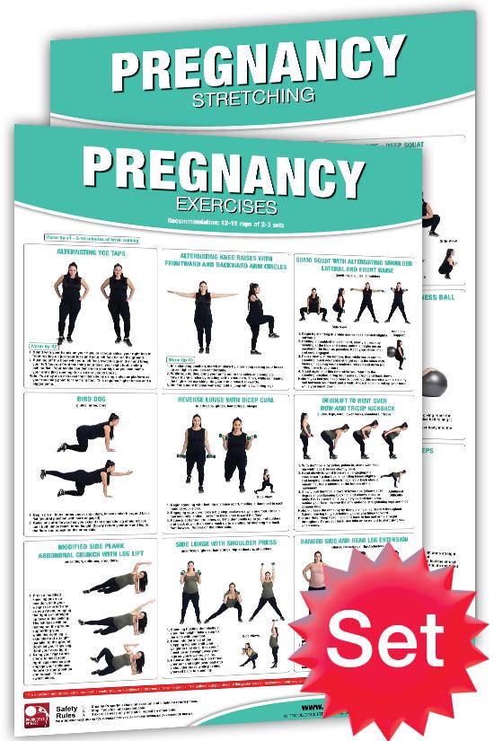 Sports Poster Warehouse - Neil Flagg, Pres. on X: Now available for your  wall, order here!  Pregnancy Exercises Workout 2- Poster Professional Wall Chart Combo - Productive Fitness   / X
