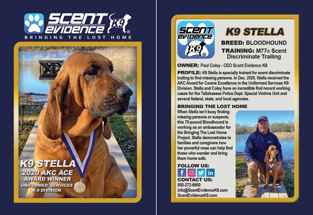 AKC ACE AWARD WINNER, K9 STELLA, IS GETTING HER OWN TRADING CARD! 
When Stella isn’t busy finding missing persons or suspects, this 70-pound Bloodhound is working as an ambassador for the Bringing The Lost Home Project. #AKCBloodhound