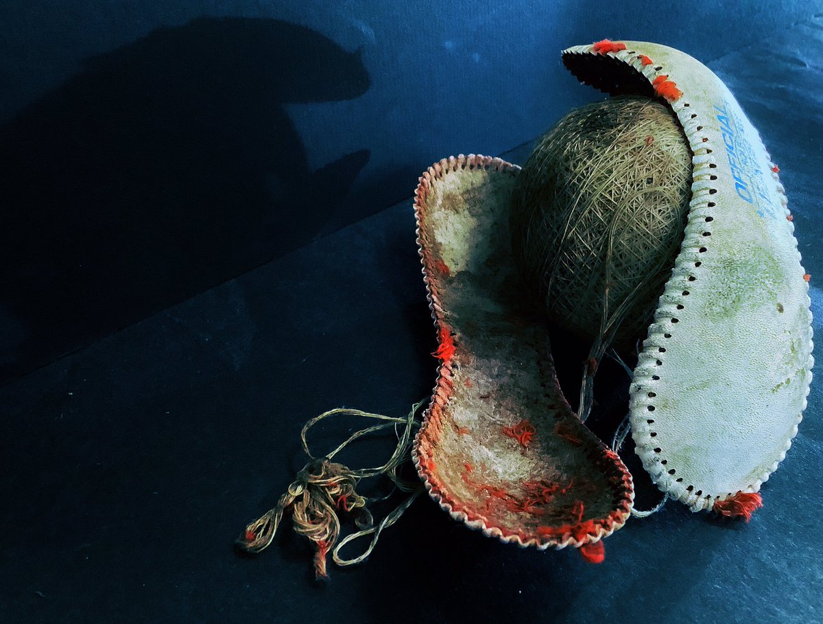 Ms. Rakowicz tweet media