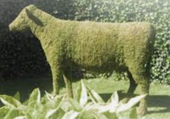 thehandman69's tweet photo. moss cow. https://t.co/nXOxLETsnZ