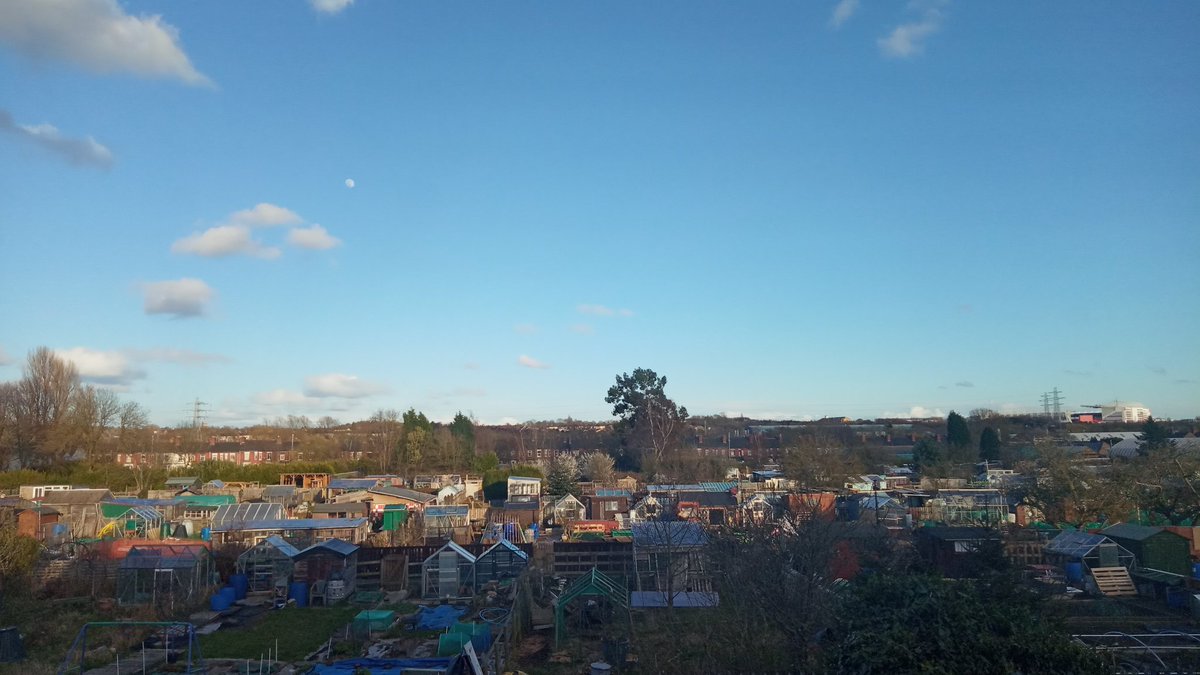 Love the view from my office window #allotments #stoketown #boothen #stokeontrent #cityliving