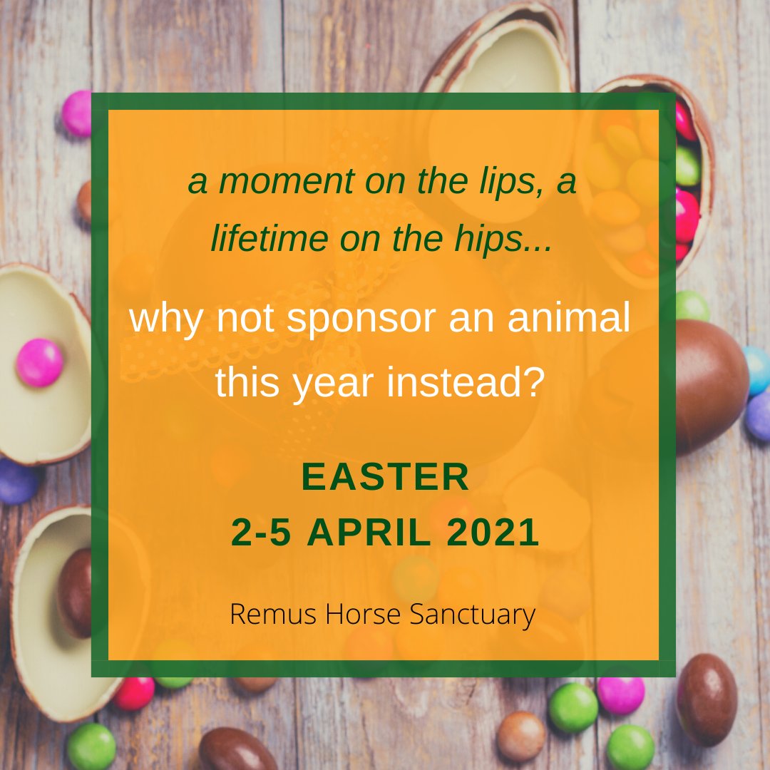 RemusHorse's tweet image. Shopping online for Easter gifts? Why not sponsor an animal instead? #NonFattening #LastsLonger #EasterGifts #EasterIdeas
&amp;gt;remussanctuary.org/how-you-can-he…