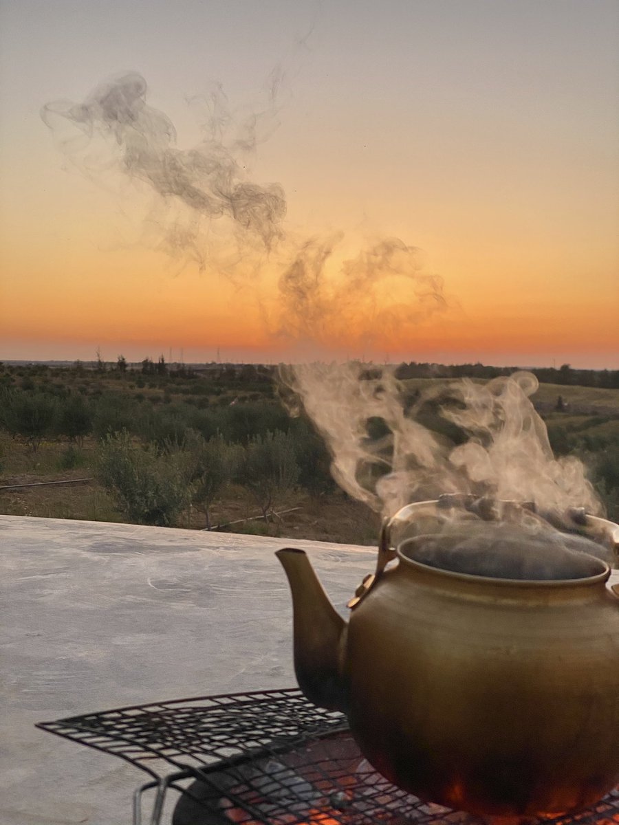 sdeksdeksdeksd1's tweet image. #الدفنية 👨‍🌾