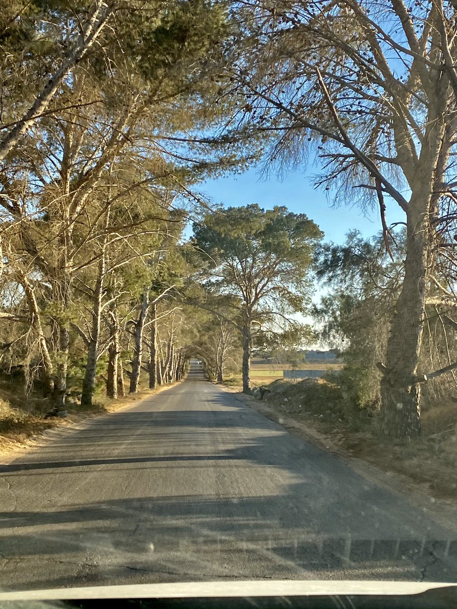 sdeksdeksdeksd1's tweet image. #الدفنية 👨‍🌾