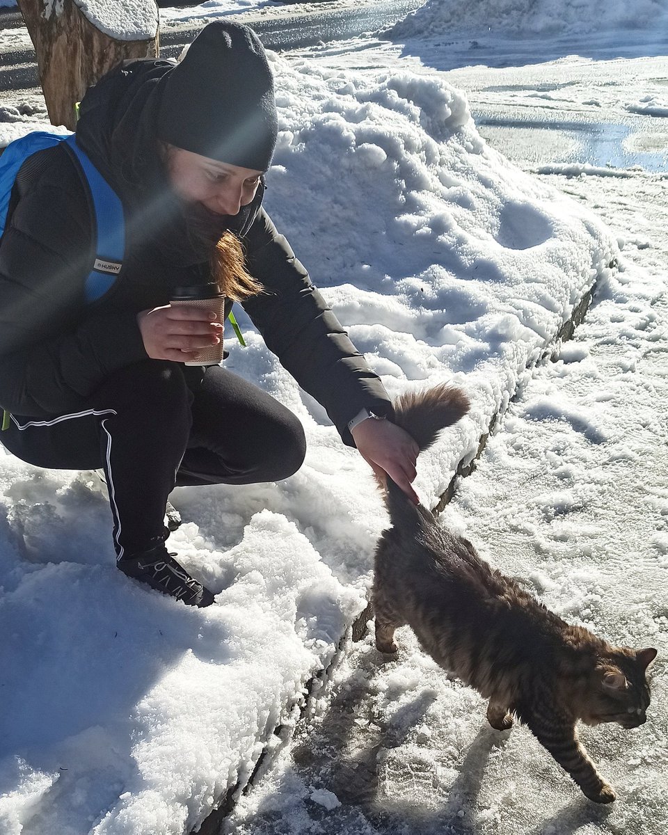 apollo_division's tweet photo. [no animal was harmed when taking  this photo] 🐱 

#tbt #caption #catmodel #trip #outdoor #explore #travel #malaskala #czechrepublic #weekend #apollodivision🚀 https://t.co/EKUlPsOexW