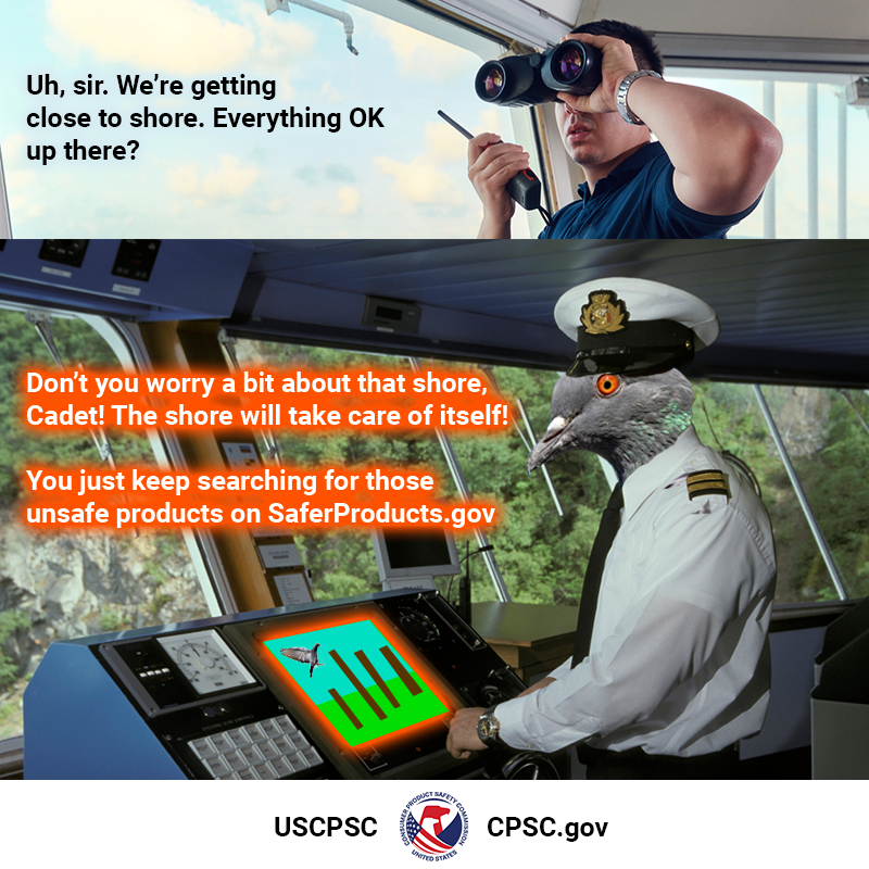 A cadet on a boat deck looking out the window with binoculars. The text reads: Uh, sir. We're getting close to shore. Everything OK up there? The captain, a pigeon who is not paying attention and playing a video game replies, "Don't you worry a bit about that shore, Cadet! The shore will take care of itself. You just keep searching for unsafe products on SaferProducts.gov"