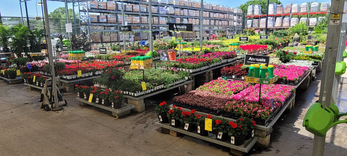 WBenabeCF's tweet photo. HD6324 is looking great full of color and ready for the weekend. @bjryan3 @sgaskinshd @Christi23491423 @len_costa @AmyMGray1 https://t.co/FGm4MOH0KW