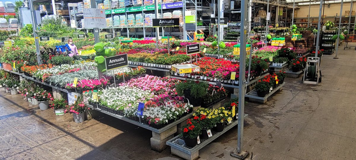 WBenabeCF's tweet photo. HD6324 is looking great full of color and ready for the weekend. @bjryan3 @sgaskinshd @Christi23491423 @len_costa @AmyMGray1 https://t.co/FGm4MOH0KW