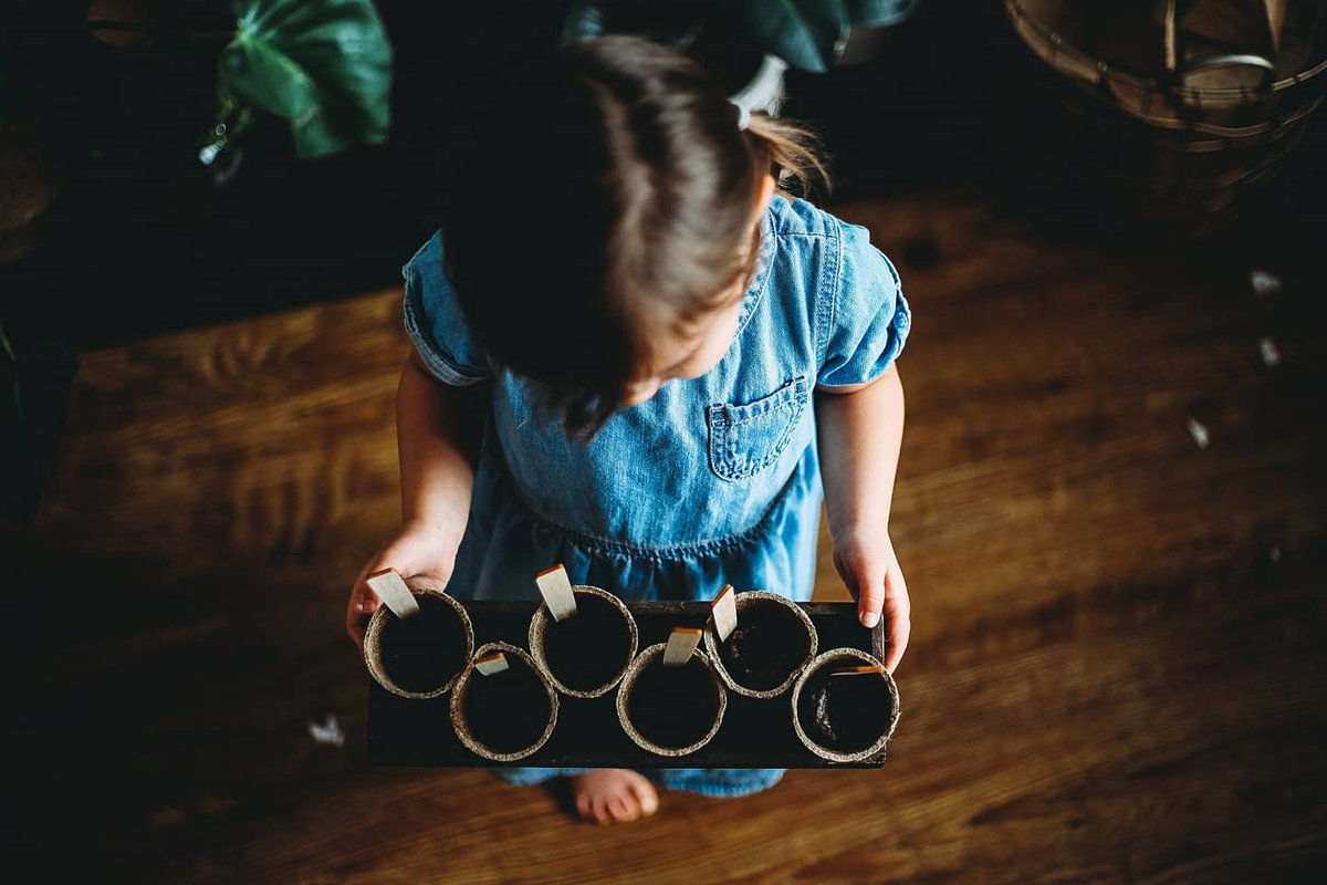 S i a n 🌱 tweet media