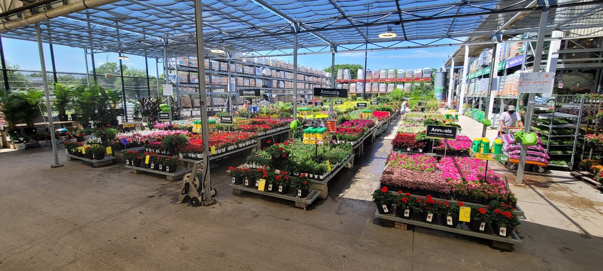 WBenabeCF's tweet photo. HD6324 is looking great full of color and ready for the weekend. @bjryan3 @sgaskinshd @Christi23491423 @len_costa @AmyMGray1 https://t.co/FGm4MOH0KW