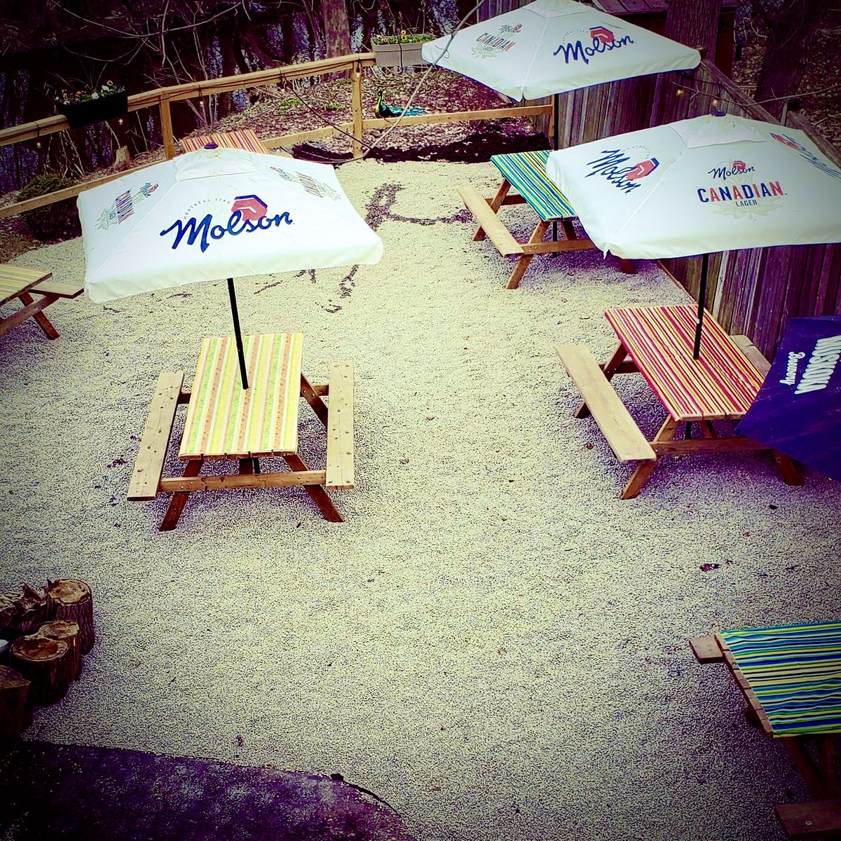 Patio season is here!! Who will be joining us?

#newmarket #newmarketontario #fairylake #mainstreet #britishpub #pubfood #patioseason