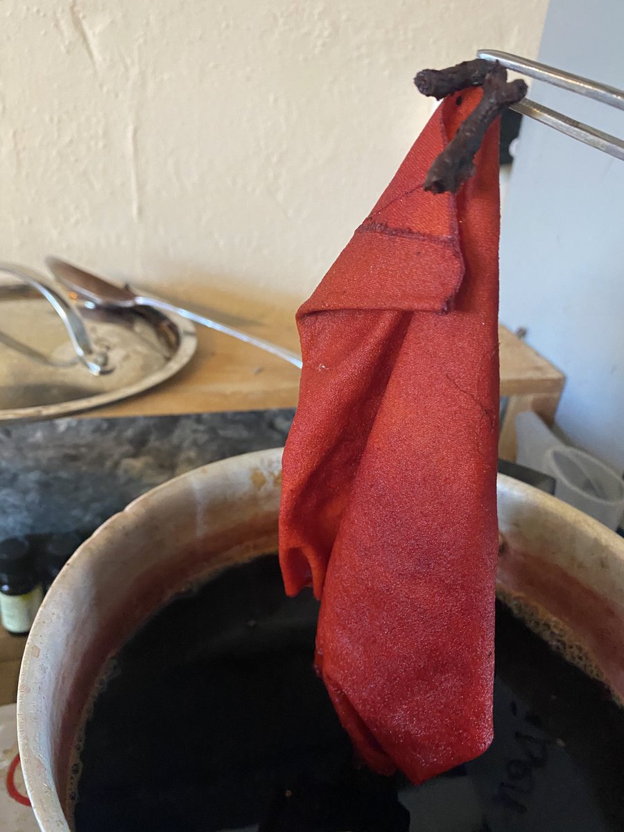 vicki_dean1's tweet photo. Madder, in search of red. #lessonplanning #rubiatinctorum #madder #naturaldyes #naturalcolour #allotmentproduce #regionalcolour #permaculture #permaculturecolour #slowtextiles #sustainabletextiles #studiotime #sanity #ilovetextiles https://t.co/ipPwL2J12Z