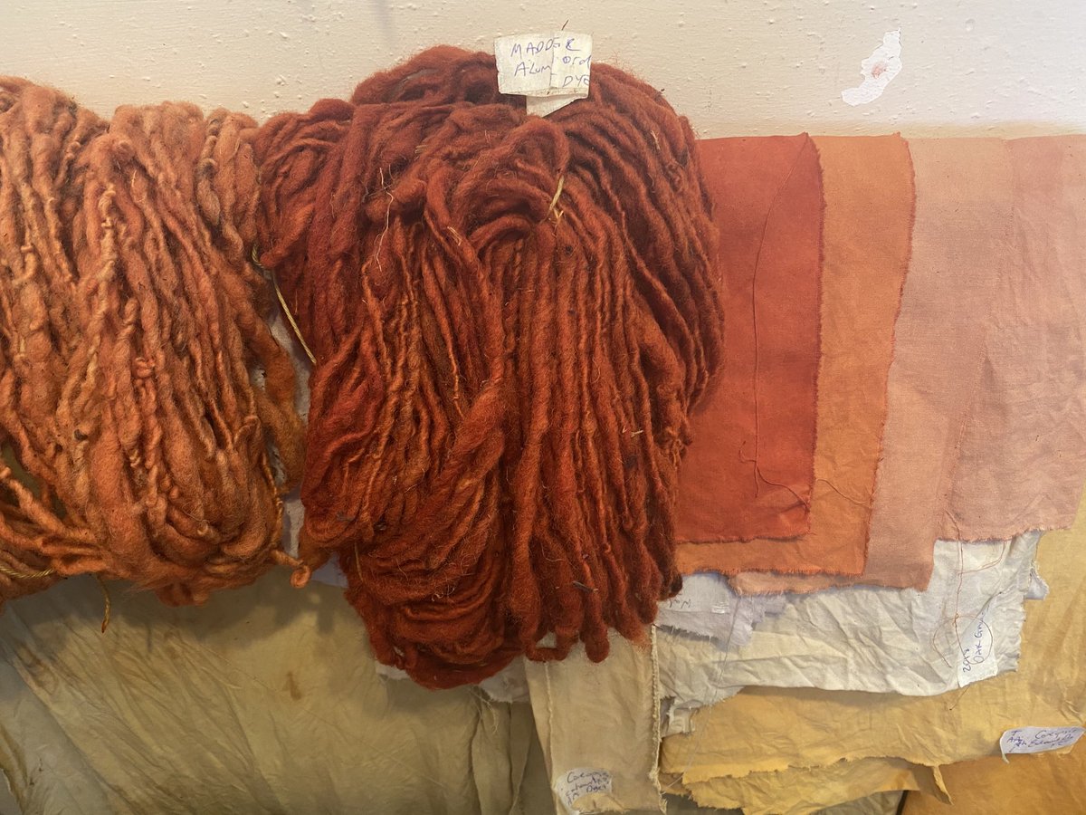vicki_dean1's tweet photo. Madder, in search of red. #lessonplanning #rubiatinctorum #madder #naturaldyes #naturalcolour #allotmentproduce #regionalcolour #permaculture #permaculturecolour #slowtextiles #sustainabletextiles #studiotime #sanity #ilovetextiles https://t.co/ipPwL2J12Z