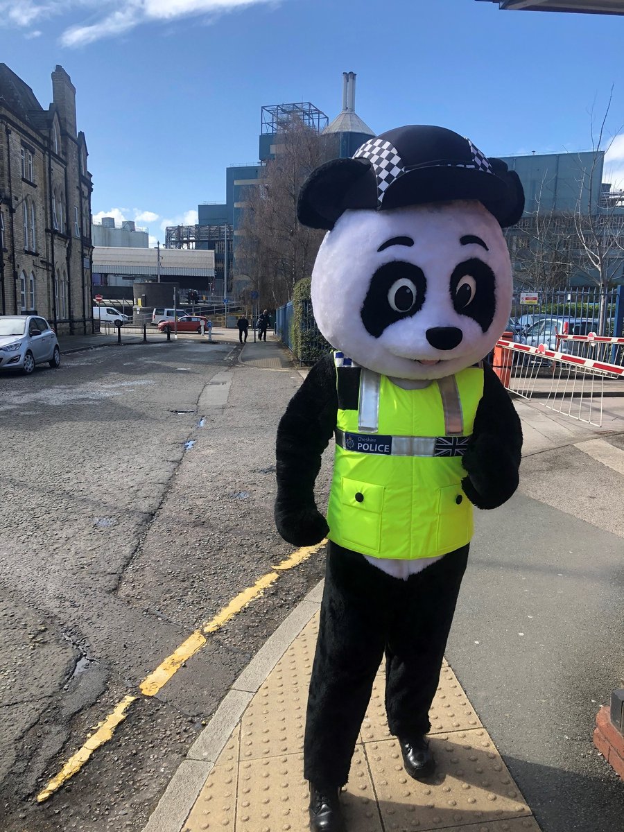 PoliceWarr's tweet photo. PC Panda has been out on foot patrol, pausing only for a Bamboo Shoot Latte.
#HereForYou
#PCPanda https://t.co/jKajKMJAsd