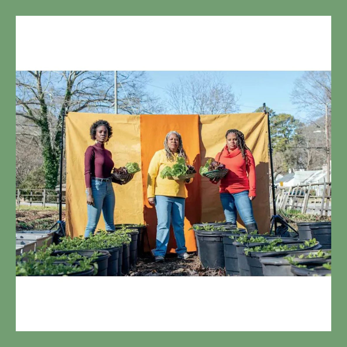 MillionGardens's tweet photo. This week's newsletter is about to drop—you still have time to subscribe at our website or https://t.co/Zab1zaQ2FL. This month we covered gardening news, subscriber-only tips, even the best gardening perfume for Valentine's (freshly picked tomato, thank you for asking). Join us! https://t.co/3HA8SrPVyY