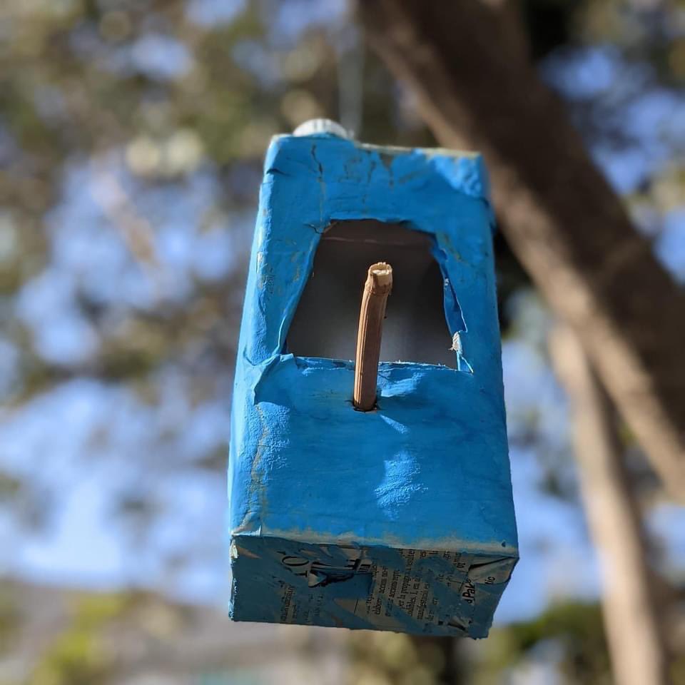 Inslessalines's tweet photo. L’alumnat de 1r d'#IFE, han construït menjadores dins de l'activitat: Muntem un observatori de fauna alada!Les observacions fetes al nostre "jardí", es poden consultar al web https://t.co/bV3CGzTn5N d'@icocells #observatoridaus #ocellsdelsjardins #projectefp #formemprofessionals https://t.co/vDi5HT34vF