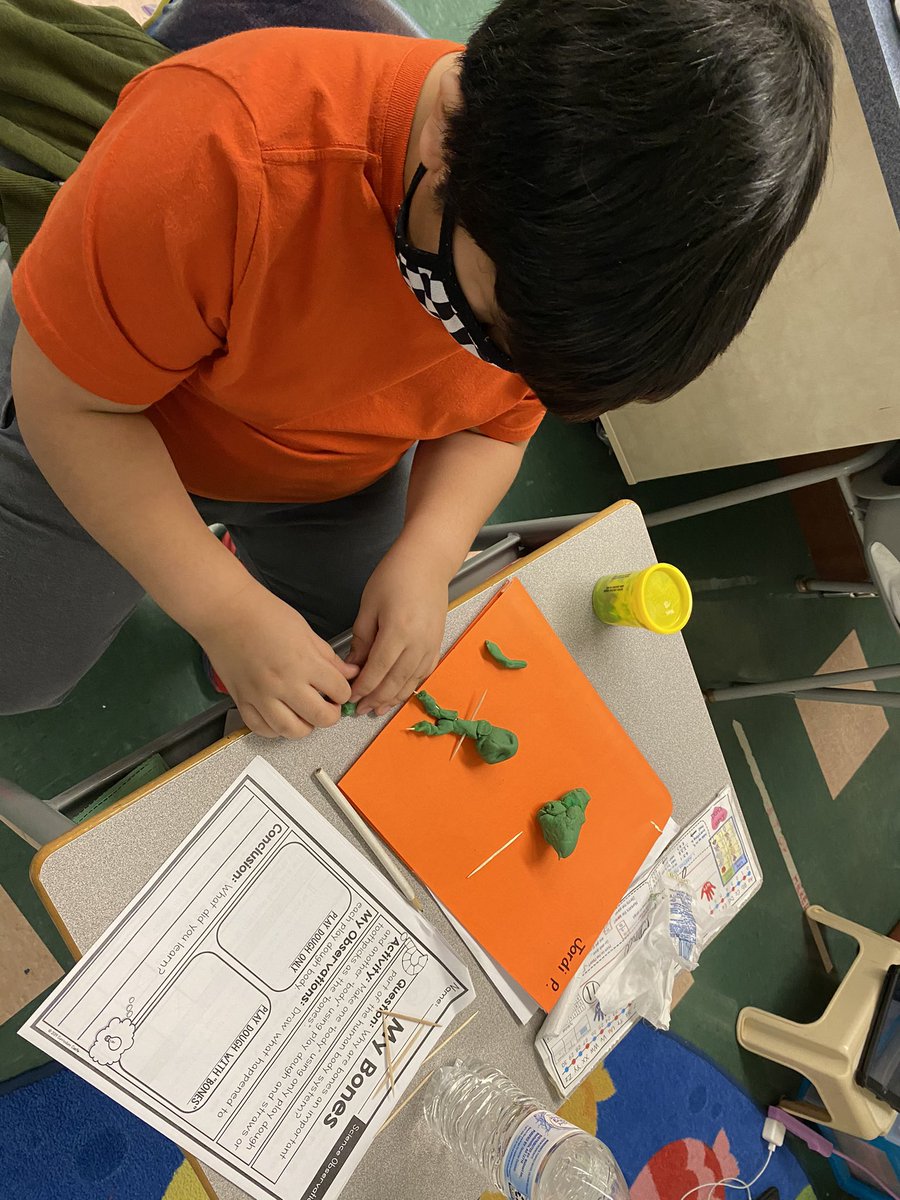 mrshummer2's tweet photo. Why is our skeletal system important? We answered this question through exploration with play doh and toothpicks. I am so glad my head doesn’t just fall off like these poor models 😅 #JTLearns #iteachsecond #scienceisfun https://t.co/BVhjkjC2Y9