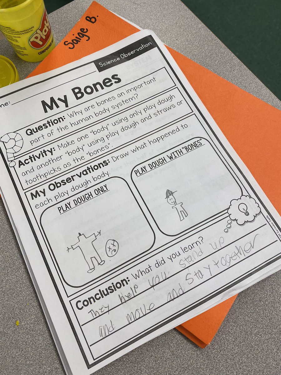 mrshummer2's tweet photo. Why is our skeletal system important? We answered this question through exploration with play doh and toothpicks. I am so glad my head doesn’t just fall off like these poor models 😅 #JTLearns #iteachsecond #scienceisfun https://t.co/BVhjkjC2Y9