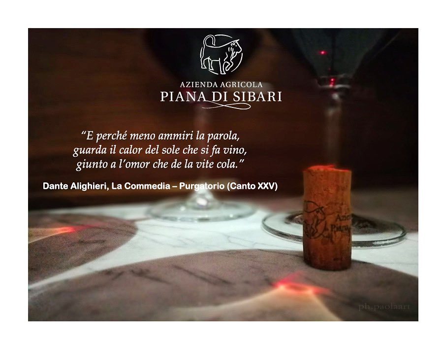 pianadisibari's tweet photo. Le parole non hanno tempo !!!🍷
•
•
#dante2021 #dantedì #vino #italy #calabria #dante700 #vinoitaliano #winelover #finesettimana #fridaymood #wine #italianwine #cantina #winery #winepassion #venerdisera #fridaymotivation #redwine #spedizioniintuttaitalia #madeinitaly https://t.co/ARYTnqDckj