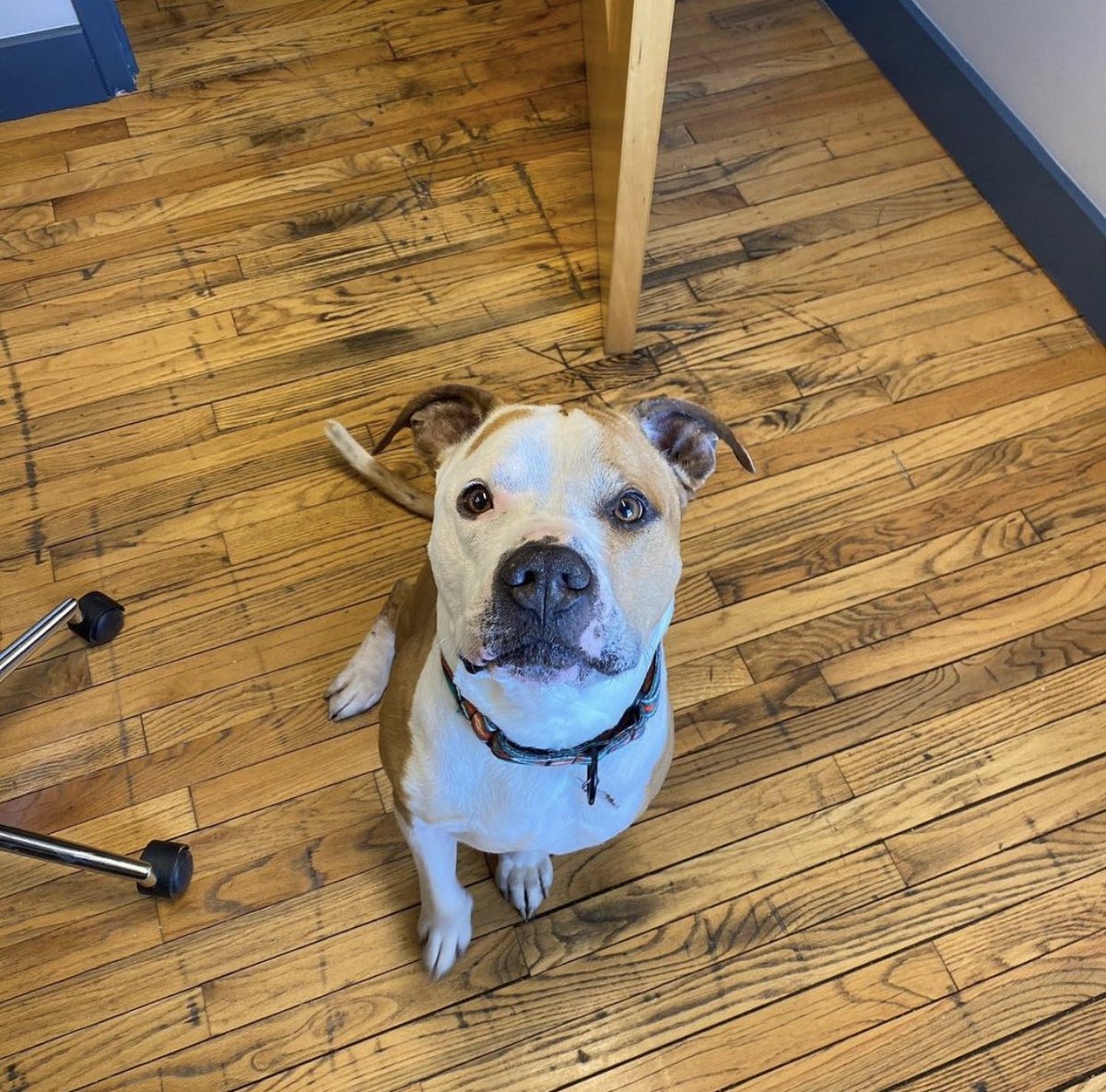 valveandmeter's tweet photo. 3️⃣🎉 Three years is a big deal around here. Today we're celebrating Matt Reef's 3 year anniversary with V+M! Thanks for serving the outreach team and generating transformational results for our clients, Matt! 

#workanniversary #threeyears #valveandmeter #performancemarketing https://t.co/yWJF5vsyk3
