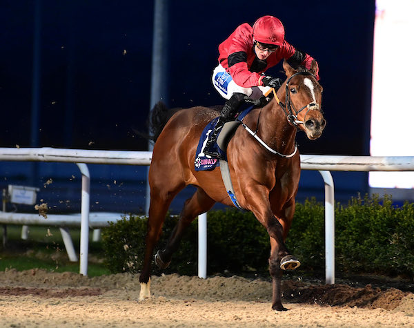 Ado McGuinness Racing tweet media