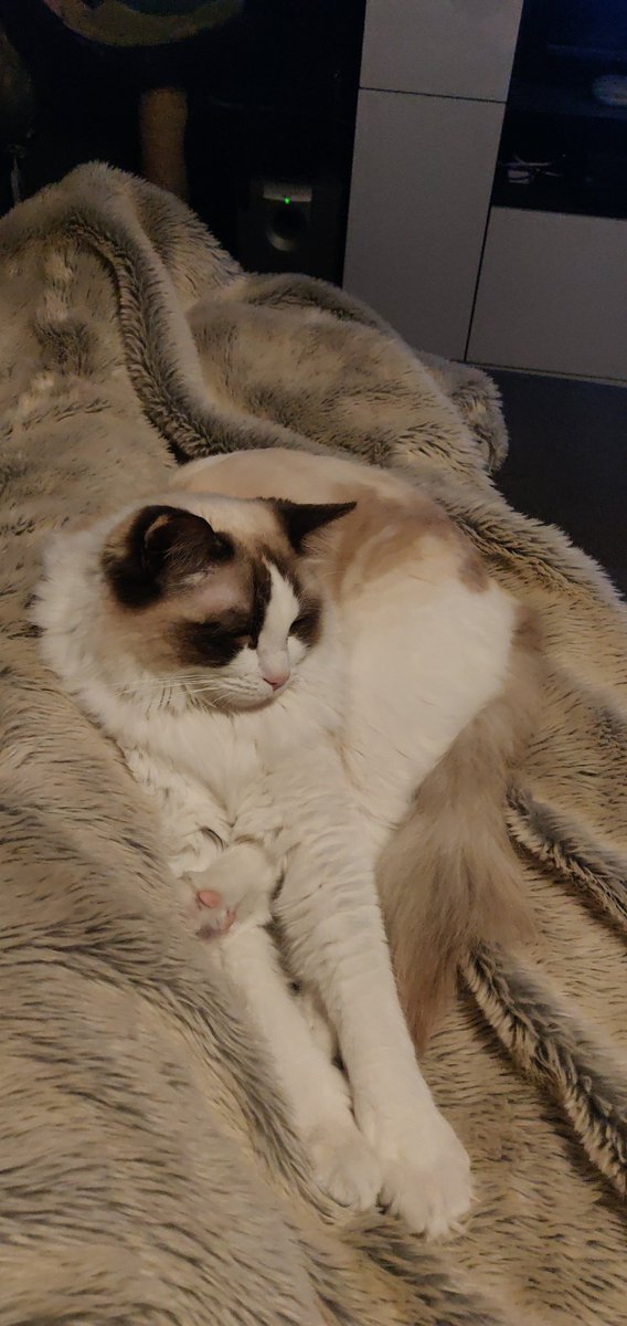 Clément DUFFAU tweet media