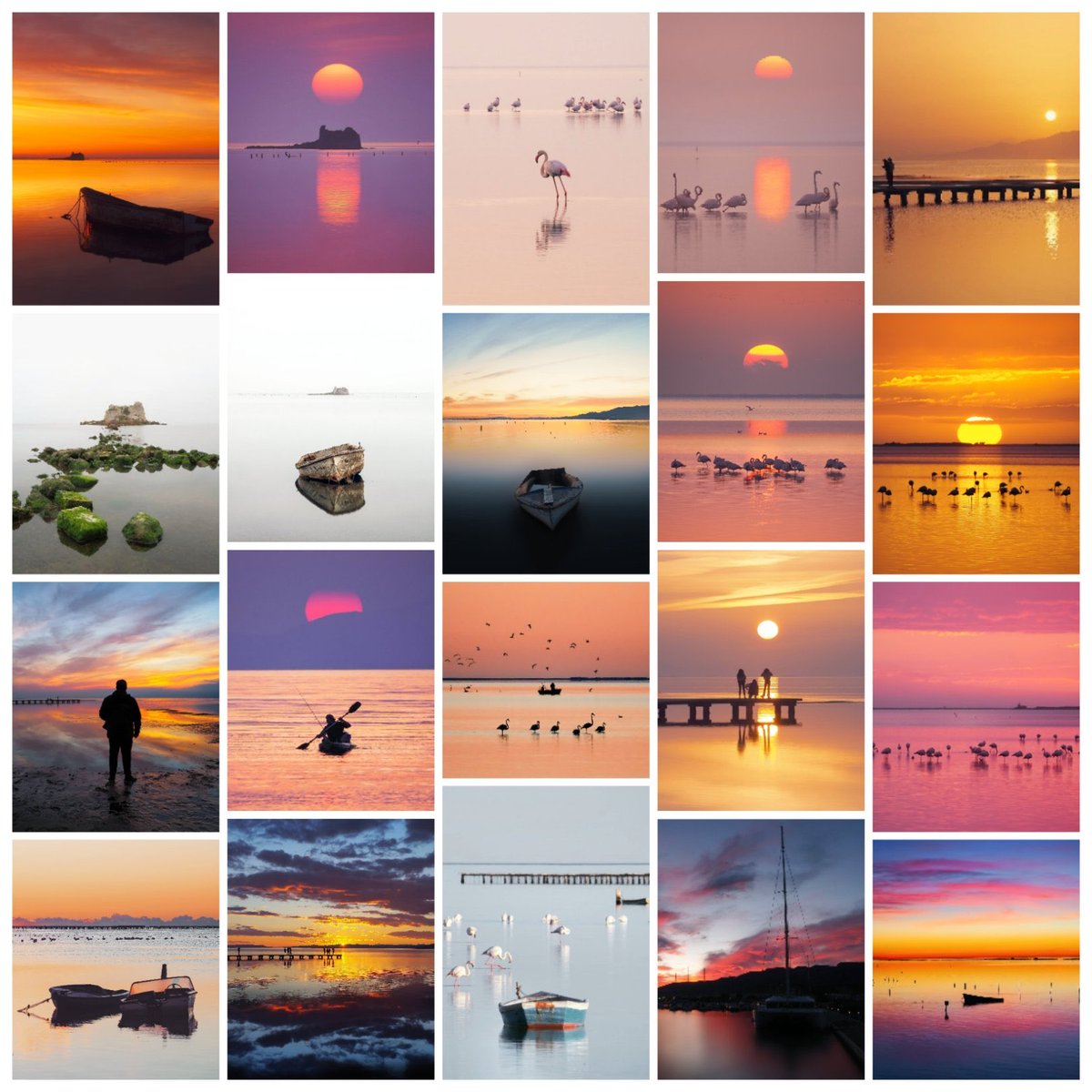 johanna willems (@janamasnou) on Twitter photo 