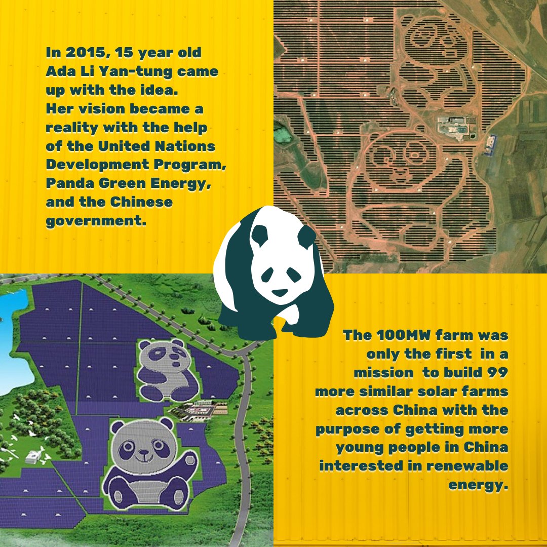 serrt_uprm's tweet photo. #FunFactFriday | Did you know about the panda shaped solar farms in China? 
🌤🐼
•
•
#funfacts #solarfarm #pandas #solarpanels #solarenergy #panelessolares #energiasolar #SERRT #uprm https://t.co/1IqHYvqhBZ