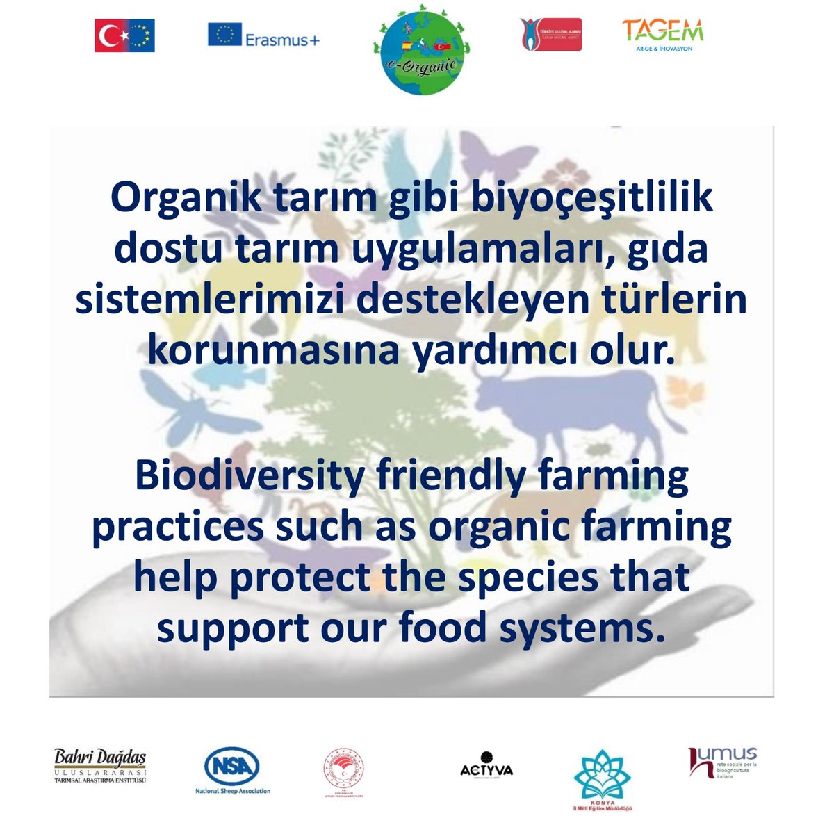 eorganiceu's tweet photo. #organic #organik #organicagriculture #organiktarım #biodiversity #biyoçeşitlilik #Foodsystems #gıdasistemleri https://t.co/XBy0NJEYJS