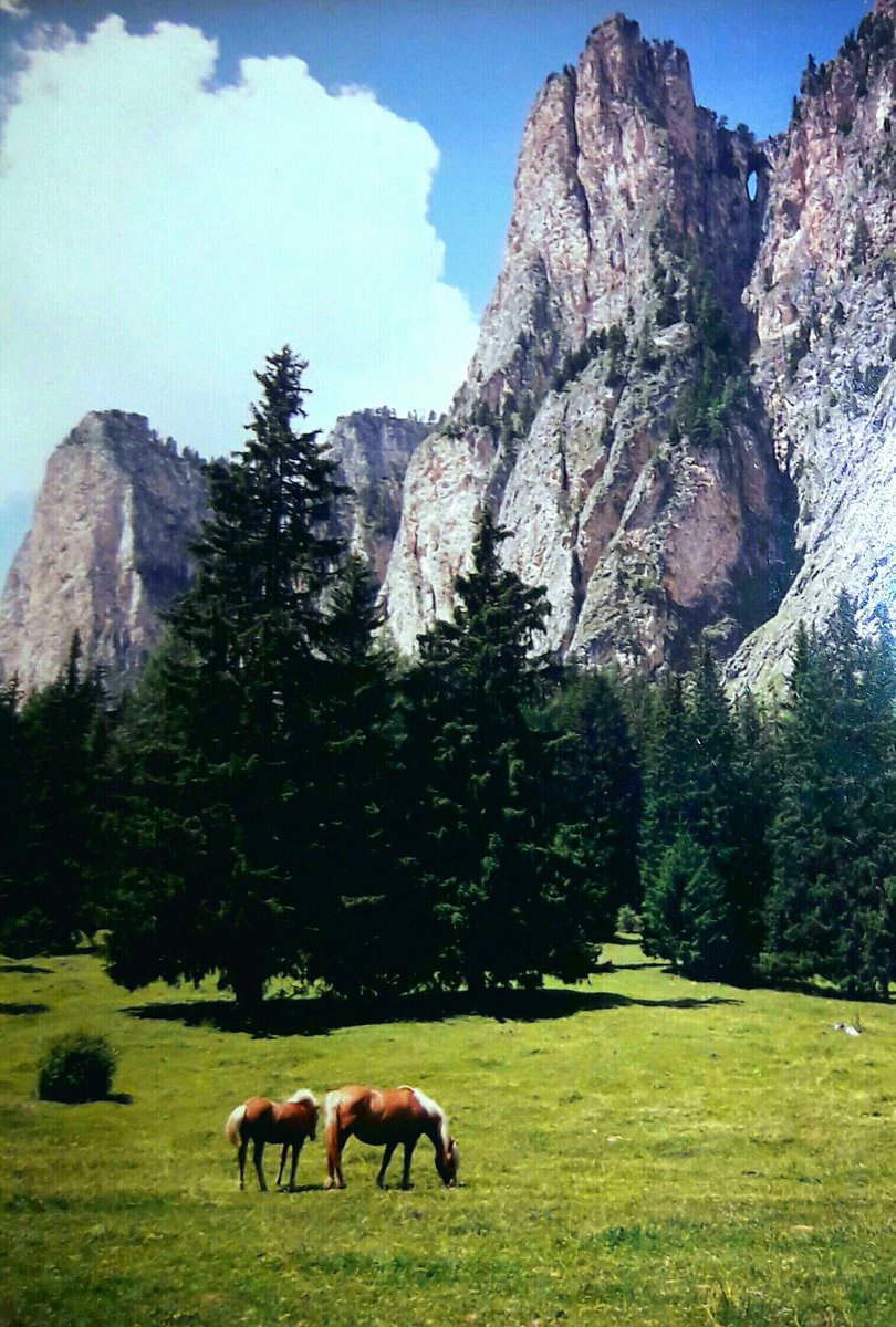 Giovanna_xo_'s tweet photo. Stessa prospettiva (si vede l'arco di roccia in alto a destra)...
ma con i cavalli al posto delle mucche
#Vallunga #Selvadivalgardena anni fa... https://t.co/TDXDgYAwR8