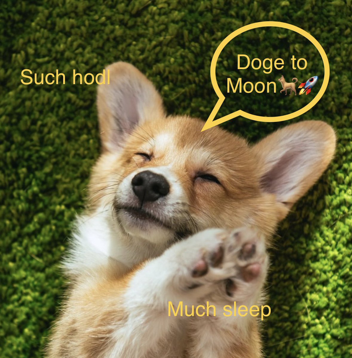 DogecoinBoss's tweet photo. Yep.. #Ðogecoin #Dogecoin #dogearmy #doge https://t.co/sA6AYCgOgO