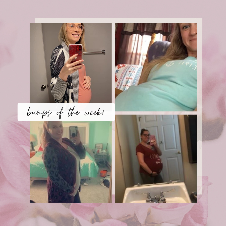 surrogatefirst's tweet photo. Our amazing Surrogates and their lovely baby bumps!
#surrogacyislove #ivfbaby #eggdonor #gestationalcarrier #eggdonoragency #eggdonorcycle #eggdonorbaby #fertilityawareness #gayparents #surrogatefirst https://t.co/2zddI9JJbW