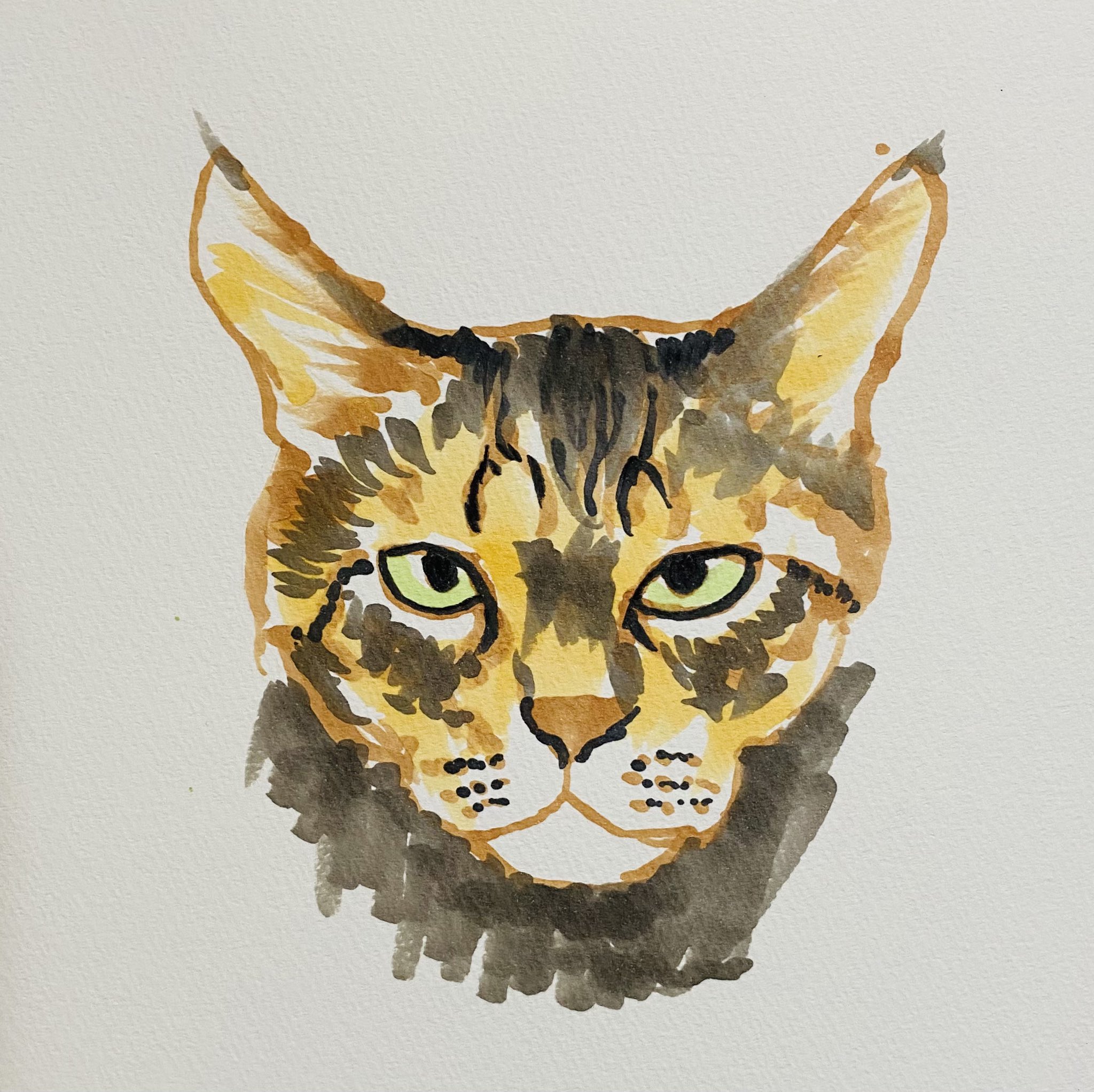 あおニャーマン ねこ描き足し 猫イラスト コピック アナログ絵 ネコ ねこ なまねこ 猫の国 絵本 猫作家 作家 猫画家 イラストレーター イラストレーション 動物画 あおニャーマン T Co 6jwnddulgv Twitter