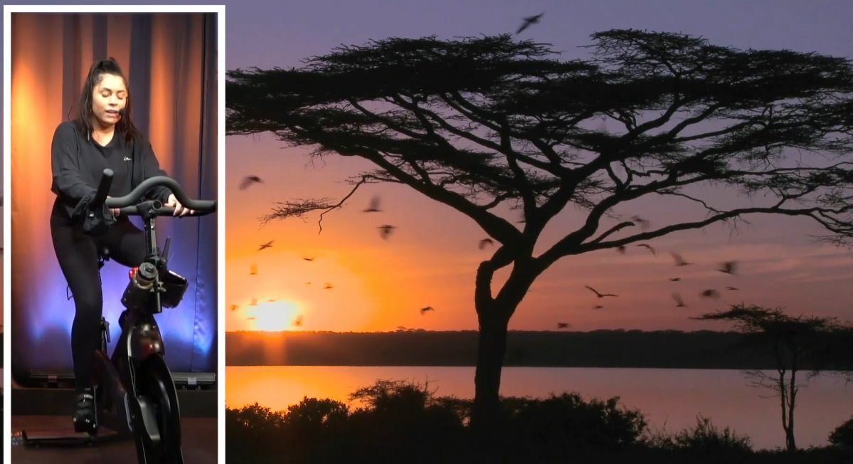 spinforlifeca's tweet photo. Ashley King will be leading us through Africa during Spin Day. Push yourself to new experiences as you cycle the majestic and wide-open plains of Africa. There's so much to see! #spinforlife https://t.co/rU8gjMIvgv